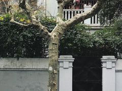 -常熟路(地铁站)