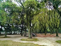 -上海市龙华烈士陵园