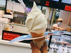 -野人先生现做冰淇淋(西安赛格店)