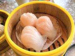 -金香匯晚茶(浑南店)