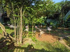 -海南热带野生动植物园
