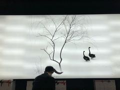 -BLACKSWAN黑天鹅(环球店)