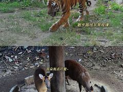 -福州动物园