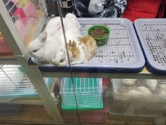 -三旗百汇商品城