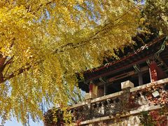 -济南大明湖景区