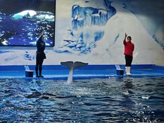 -石林冰雪海洋世界