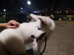 -光明港公园