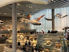 -国家自然博物馆