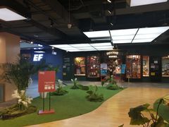 -凯德MALL(望京店)