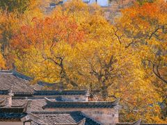 -塔川景区