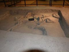 -洛阳周王城天子驾六博物馆