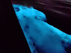 -涠洲岛南湾海洋运动公园