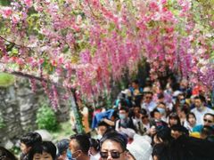 -神农山景区
