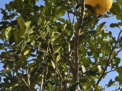 -美家乐农庄·露营·团建(大治路店)