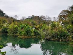 -花溪公园