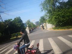 -外高桥保税区南(地铁站)