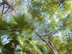 -厦门途易蓝罗约海景温泉酒店(园博苑地铁站店)