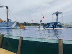 -秦皇岛乐岛海洋王国