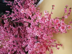 -今朝桃花醉川菜小酒馆(龙湖天街店)