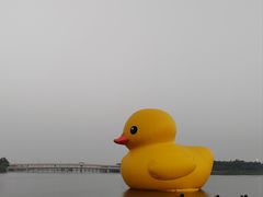 -深圳人才公园