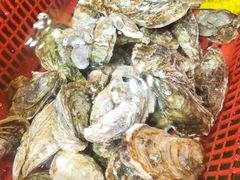 -巽寮印象美食部落餐厅·海鲜·地方特色菜(惠州体验店)