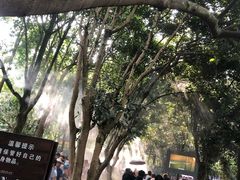 -韶山毛泽东同志故居