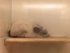 -龙猫仔乐园(惠福东路店)