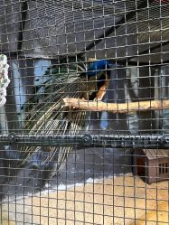 -酷嗒动物文化乐园(cutezoo西溪乐天城店)