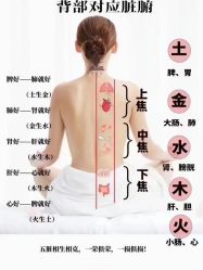 -天姿美容·美体科技SPA·艾姿美店