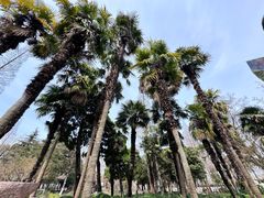 -狼山风景名胜区