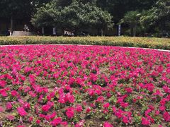 -经纬广场
