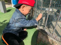 -萌宠亲子动物乐园(槐房万达店)