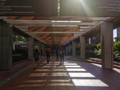 -香港大学