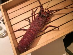 -香樟花园法式铁板烧(恒隆广场店)