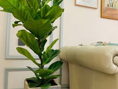 -秦美花卉(天朗·莱茵小城2期店)