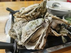原只蒸生蚝-蚝得喜海鲜(东城店)