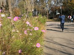 -东郊湿地公园