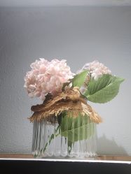 -香秀空间科技抗衰·美容中心