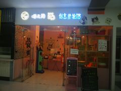 -三花喵·撸猫购宠·宠物生活馆(虹桥南丰城店)