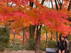 -常寂光寺
