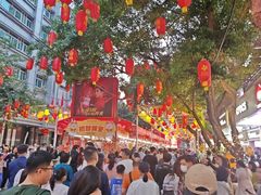 -越秀西湖花市(广州城市广场花卉店)