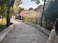 -南汇桃花村