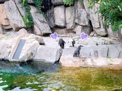 -上海野生动物园