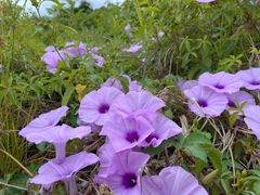 -东山湖温泉度假村