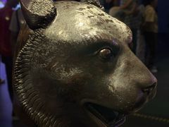 -广西壮族自治区博物馆