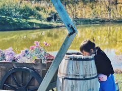 -安德鲁户外烧烤帐篷营地(马泉营店)