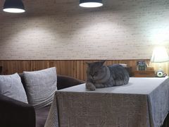 大堂-隅cafe(傅厚岗店)