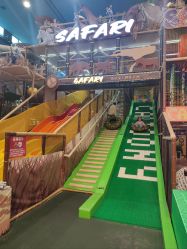 -卡通尼·Safari非洲探索乐园·生日会(金桥国际商业广场店)