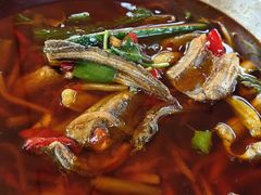 -高坎一品甲鱼庄(两河店)