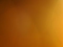 -飞奇儿体能体操馆(和平印象城店)